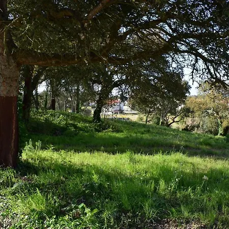 Quinta Dos Sobreiros Nadadouro