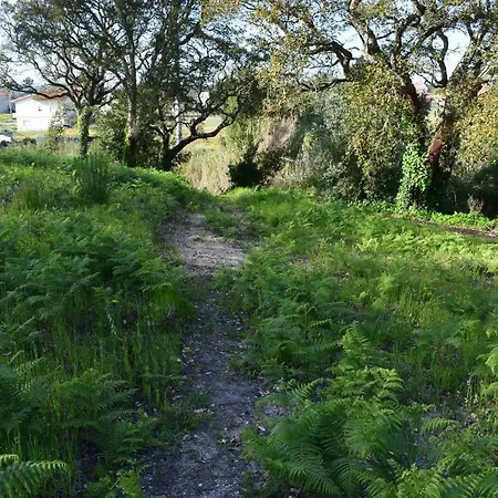 Quinta Dos Sobreiros Ferienhaus Nadadouro