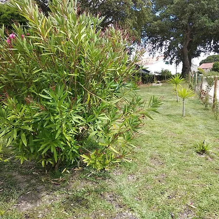 Ferienhaus Quinta Dos Sobreiros Nadadouro
