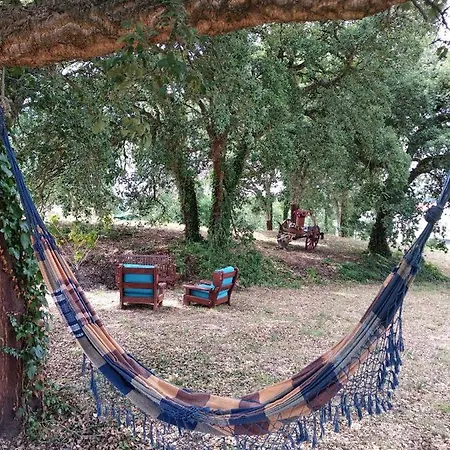 Ferienhaus Quinta Dos Sobreiros