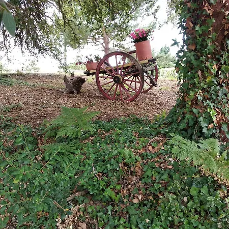 Ferienhaus Quinta Dos Sobreiros